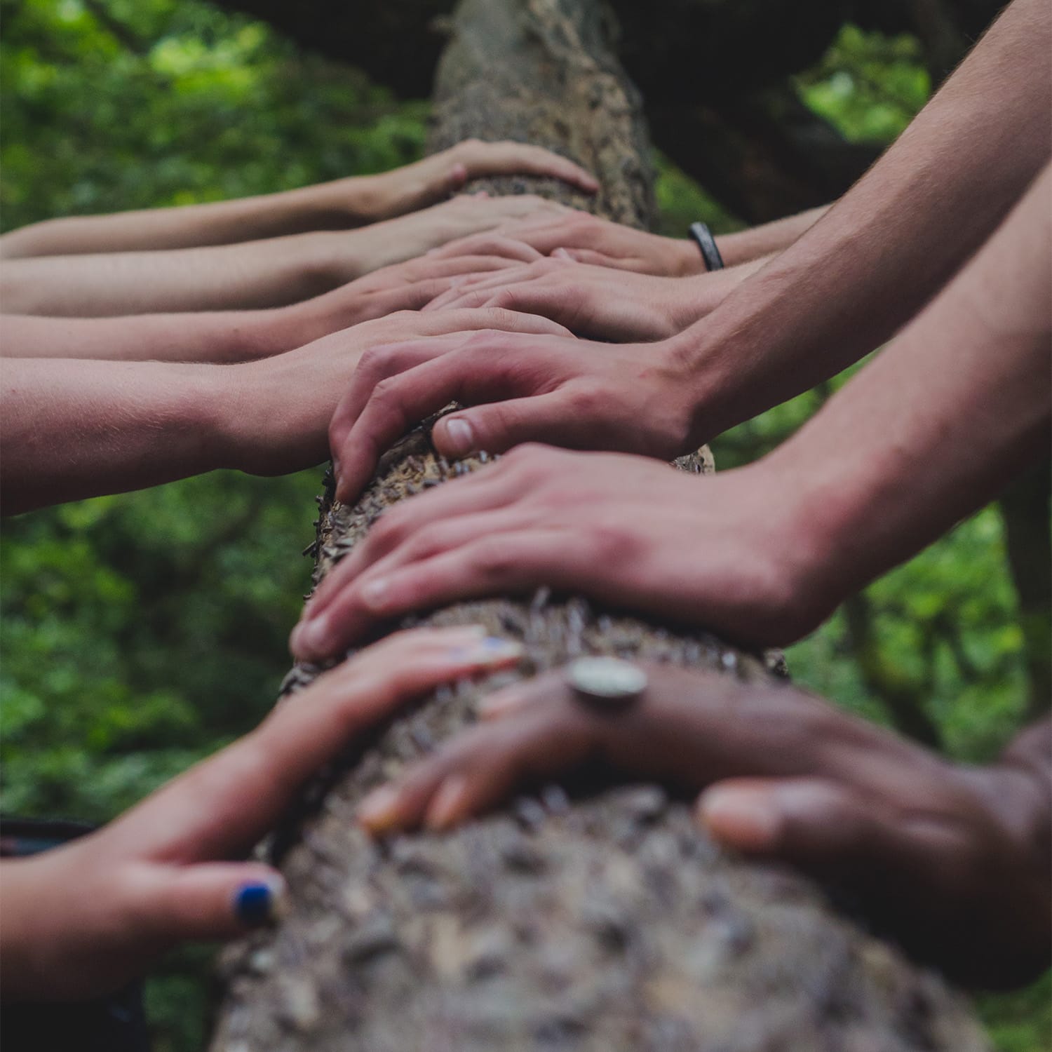 lokales Engagement Auf dem Bild ist ein Baum zu sehen mit verschiedenen Händen.