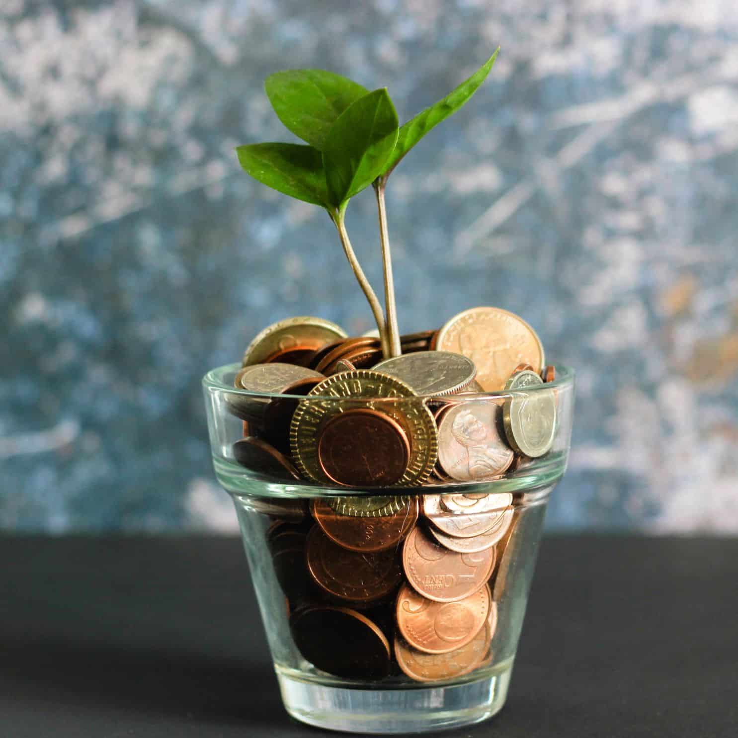 In einem kleinen Glasgefäß ist Geld gestapelt. Daraus wächst eine Pflanze