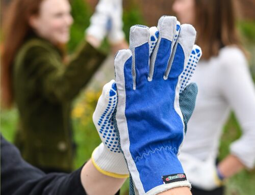 Corporate Green Days